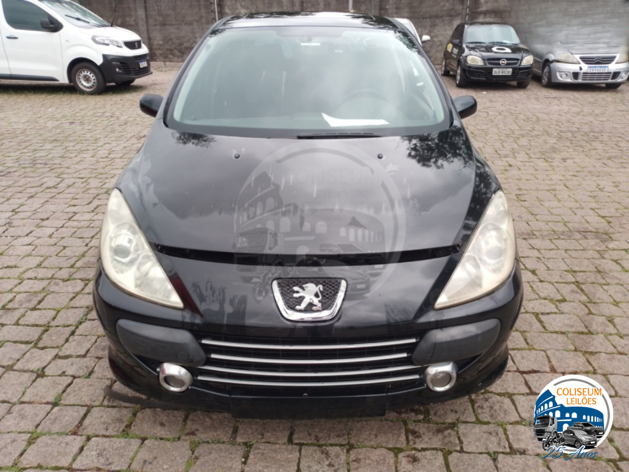 LOTE 29 PEUGEOT/307 16 PR PK FLEX 2010/2010